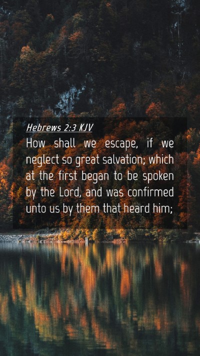Picture 04 - Hebrews 2:3 KJV Mobile Phone Wallpaper - How shall we escape, if we neglect so great - Mobile Bible Verse Wallpaper