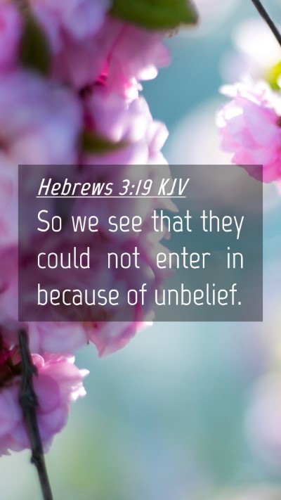 Picture 04 - Hebrews 3:19 KJV Mobile Phone Wallpaper - So we see that they could not enter in because of - Mobile Bible Verse Wallpaper