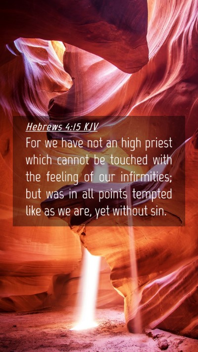 Picture 04 - Hebrews 4:15 KJV Mobile Phone Wallpaper - For we have not an high priest which cannot be - Mobile Bible Verse Wallpaper