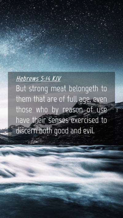 Picture 04 - Hebrews 5:14 KJV Mobile Phone Wallpaper - But strong meat belongeth to them that are of - Mobile Bible Verse Wallpaper