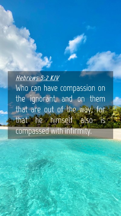 Picture 04 - Hebrews 5:2 KJV Mobile Phone Wallpaper - Who can have compassion on the ignorant, and on - Mobile Bible Verse Wallpaper