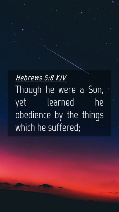 Picture 04 - Hebrews 5:8 KJV Mobile Phone Wallpaper - Though he were a Son, yet learned he obedience by - Mobile Bible Verse Wallpaper