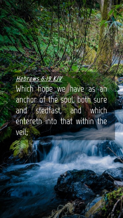 Picture 04 - Hebrews 6:19 KJV Mobile Phone Wallpaper - Which hope we have as an anchor of the soul, both - Mobile Bible Verse Wallpaper