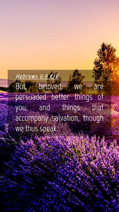 Picture 04 - Hebrews 6:9 KJV Mobile Phone Wallpaper - But, beloved, we are persuaded better things of - Mobile Bible Verse Wallpaper