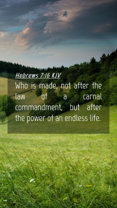 Picture 04 - Hebrews 7:16 KJV Mobile Phone Wallpaper - Who is made, not after the law of a carnal - Mobile Bible Verse Wallpaper
