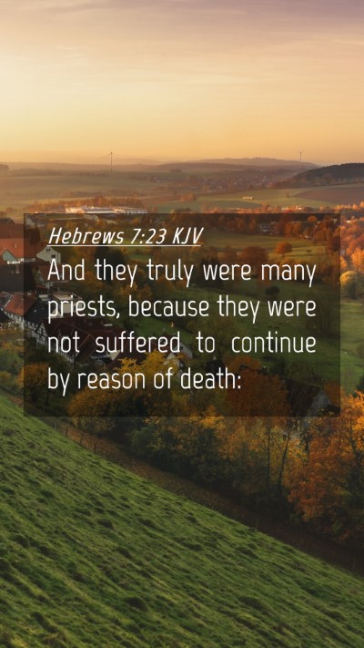 Picture 04 - Hebrews 7:23 KJV Mobile Phone Wallpaper - And they truly were many priests, because they - Mobile Bible Verse Wallpaper