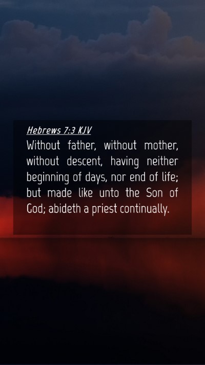 Picture 04 - Hebrews 7:3 KJV Mobile Phone Wallpaper - Without father, without mother, without descent, - Mobile Bible Verse Wallpaper