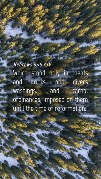 Picture 04 - Hebrews 9:10 KJV Mobile Phone Wallpaper - Which stood only in meats and drinks, and divers - Mobile Bible Verse Wallpaper