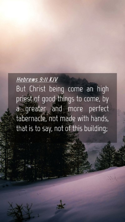 Picture 04 - Hebrews 9:11 KJV Mobile Phone Wallpaper - But Christ being come an high priest of good - Mobile Bible Verse Wallpaper