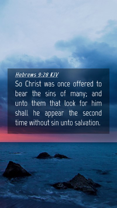 Picture 04 - Hebrews 9:28 KJV Mobile Phone Wallpaper - So Christ was once offered to bear the sins of - Mobile Bible Verse Wallpaper