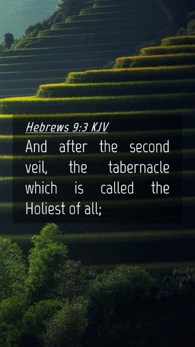 Picture 04 - Hebrews 9:3 KJV Mobile Phone Wallpaper - And after the second veil, the tabernacle which - Mobile Bible Verse Wallpaper