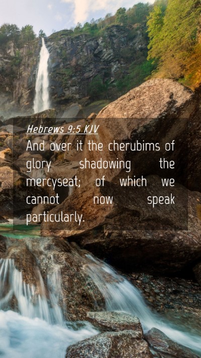 Picture 04 - Hebrews 9:5 KJV Mobile Phone Wallpaper - And over it the cherubims of glory shadowing the - Mobile Bible Verse Wallpaper