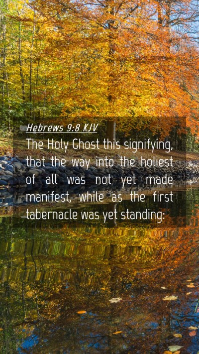 Picture 04 - Hebrews 9:8 KJV Mobile Phone Wallpaper - The Holy Ghost this signifying, that the way into - Mobile Bible Verse Wallpaper