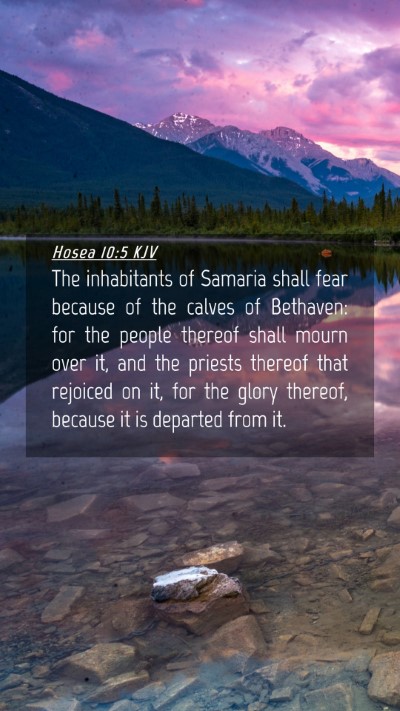 Picture 04 - Hosea 10:5 KJV Mobile Phone Wallpaper - The inhabitants of Samaria shall fear because of - Mobile Bible Verse Wallpaper