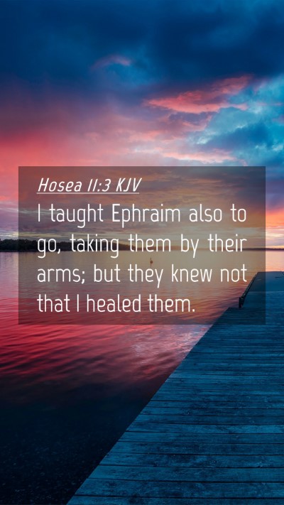 Picture 04 - Hosea 11:3 KJV Mobile Phone Wallpaper - I taught Ephraim also to go, taking them by their - Mobile Bible Verse Wallpaper