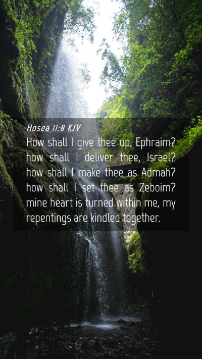 Picture 04 - Hosea 11:8 KJV Mobile Phone Wallpaper - How shall I give thee up, Ephraim? how shall I - Mobile Bible Verse Wallpaper