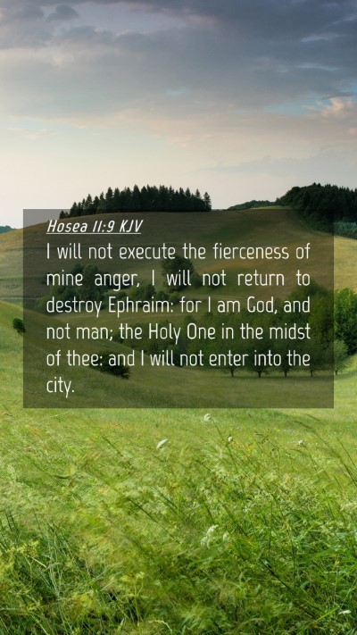 Picture 04 - Hosea 11:9 KJV Mobile Phone Wallpaper - I will not execute the fierceness of mine anger, - Mobile Bible Verse Wallpaper