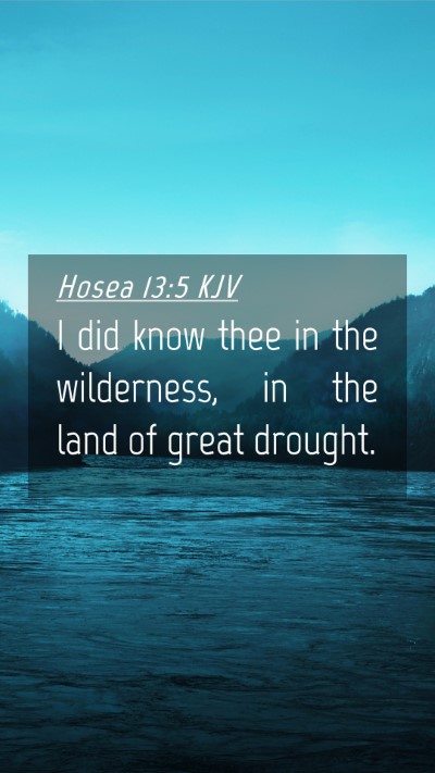 Picture 04 - Hosea 13:5 KJV Mobile Phone Wallpaper - I did know thee in the wilderness, in the land of - Mobile Bible Verse Wallpaper