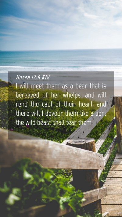 Picture 04 - Hosea 13:8 KJV Mobile Phone Wallpaper - I will meet them as a bear that is bereaved of - Mobile Bible Verse Wallpaper