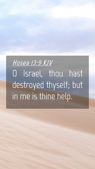 Picture 04 - Hosea 13:9 KJV Mobile Phone Wallpaper - O Israel, thou hast destroyed thyself; but in me - Mobile Bible Verse Wallpaper