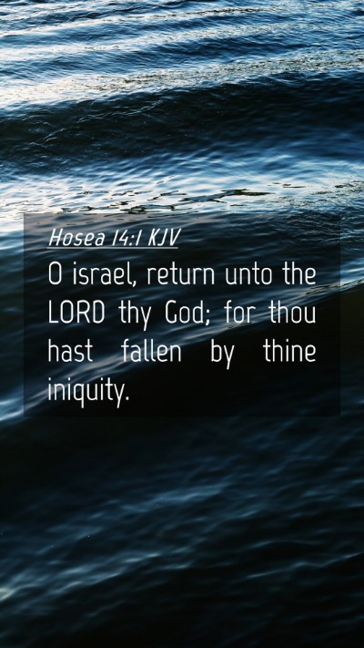 Picture 04 - Hosea 14:1 KJV Mobile Phone Wallpaper - O israel, return unto the LORD thy God; for thou - Mobile Bible Verse Wallpaper