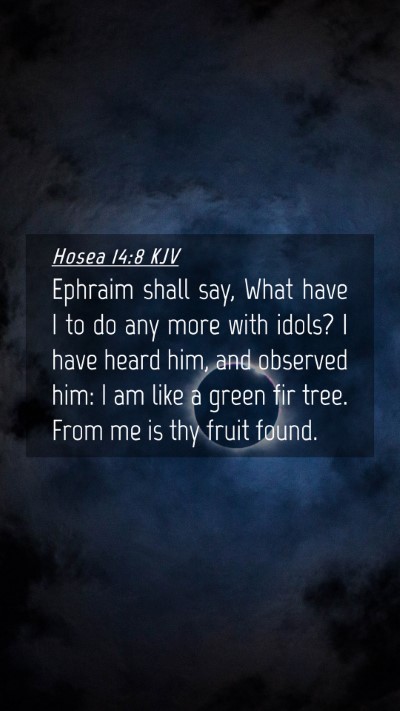 Picture 04 - Hosea 14:8 KJV Mobile Phone Wallpaper - Ephraim shall say, What have I to do any more - Mobile Bible Verse Wallpaper