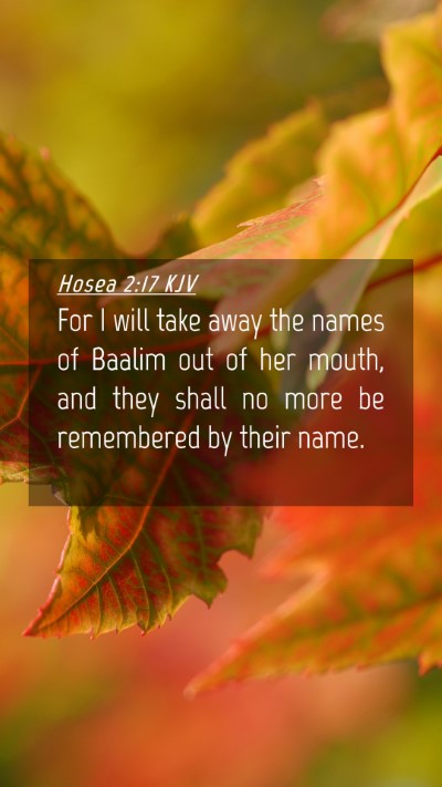 Picture 04 - Hosea 2:17 KJV Mobile Phone Wallpaper - For I will take away the names of Baalim out of - Mobile Bible Verse Wallpaper