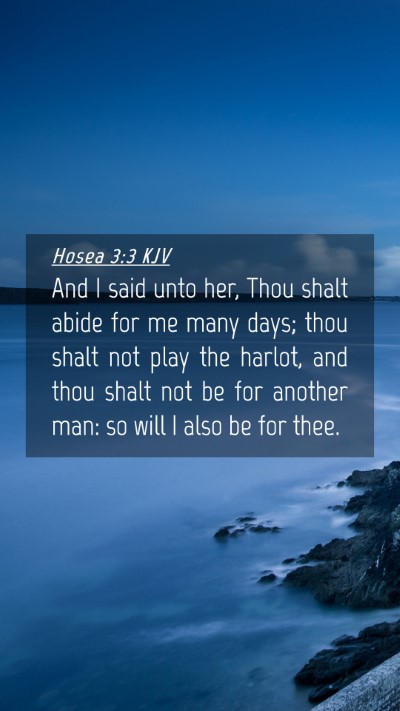 Picture 04 - Hosea 3:3 KJV Mobile Phone Wallpaper - And I said unto her, Thou shalt abide for me many - Mobile Bible Verse Wallpaper