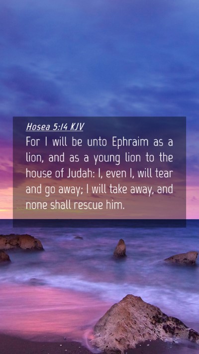 Picture 04 - Hosea 5:14 KJV Mobile Phone Wallpaper - For I will be unto Ephraim as a lion, and as a - Mobile Bible Verse Wallpaper