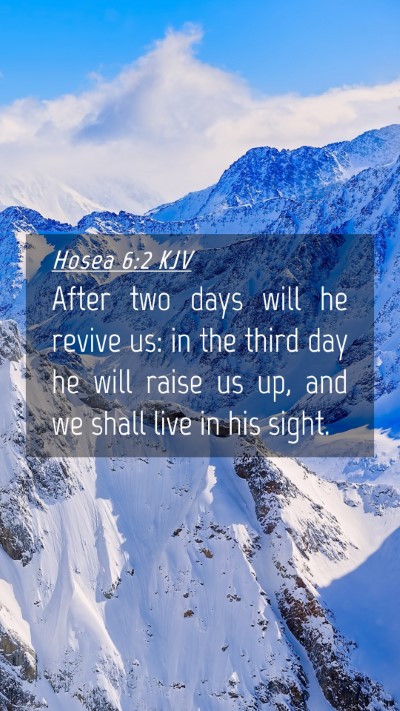 Picture 04 - Hosea 6:2 KJV Mobile Phone Wallpaper - After two days will he revive us: in the third - Mobile Bible Verse Wallpaper