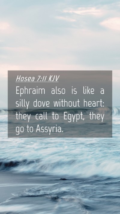 Picture 04 - Hosea 7:11 KJV Mobile Phone Wallpaper - Ephraim also is like a silly dove without heart: - Mobile Bible Verse Wallpaper