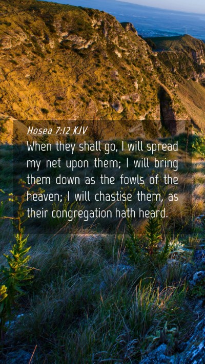 Picture 04 - Hosea 7:12 KJV Mobile Phone Wallpaper - When they shall go, I will spread my net upon - Mobile Bible Verse Wallpaper