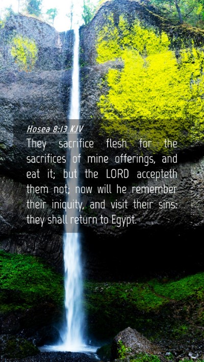 Picture 04 - Hosea 8:13 KJV Mobile Phone Wallpaper - They sacrifice flesh for the sacrifices of mine - Mobile Bible Verse Wallpaper