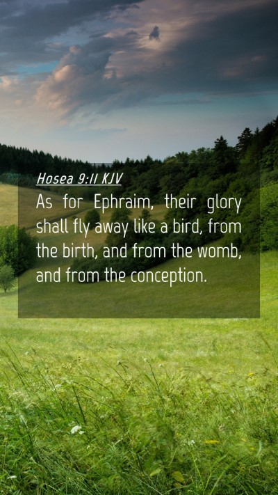 Picture 04 - Hosea 9:11 KJV Mobile Phone Wallpaper - As for Ephraim, their glory shall fly away like a - Mobile Bible Verse Wallpaper