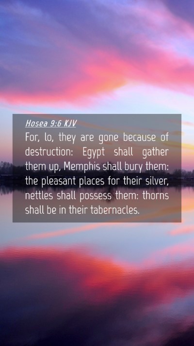 Picture 04 - Hosea 9:6 KJV Mobile Phone Wallpaper - For, lo, they are gone because of destruction: - Mobile Bible Verse Wallpaper