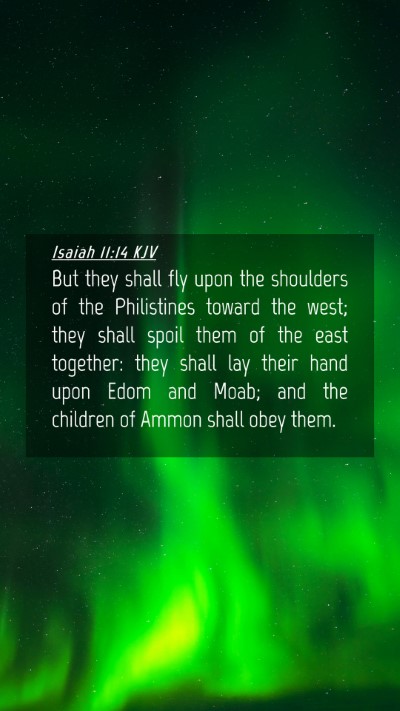 Picture 04 - Isaiah 11:14 KJV Mobile Phone Wallpaper - But they shall fly upon the shoulders of the - Mobile Bible Verse Wallpaper