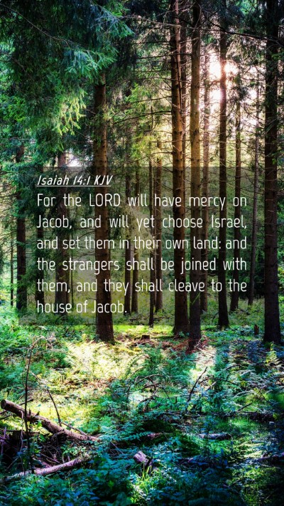 Picture 04 - Isaiah 14:1 KJV Mobile Phone Wallpaper - For the LORD will have mercy on Jacob, and will - Mobile Bible Verse Wallpaper