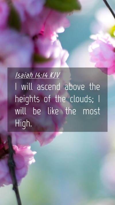 Picture 04 - Isaiah 14:14 KJV Mobile Phone Wallpaper - I will ascend above the heights of the clouds; I - Mobile Bible Verse Wallpaper