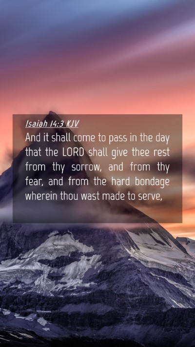Picture 04 - Isaiah 14:3 KJV Mobile Phone Wallpaper - And it shall come to pass in the day that the - Mobile Bible Verse Wallpaper