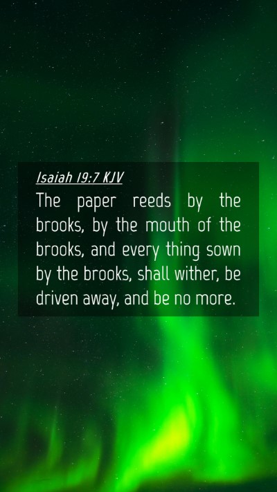 Picture 04 - Isaiah 19:7 KJV Mobile Phone Wallpaper - The paper reeds by the brooks, by the mouth of - Mobile Bible Verse Wallpaper