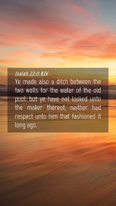 Picture 04 - Isaiah 22:11 KJV Mobile Phone Wallpaper - Ye made also a ditch between the two walls for - Mobile Bible Verse Wallpaper