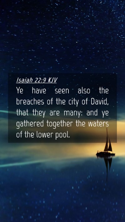 Picture 04 - Isaiah 22:9 KJV Mobile Phone Wallpaper - Ye have seen also the breaches of the city of - Mobile Bible Verse Wallpaper