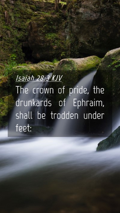Picture 04 - Isaiah 28:3 KJV Mobile Phone Wallpaper - The crown of pride, the drunkards of Ephraim, - Mobile Bible Verse Wallpaper