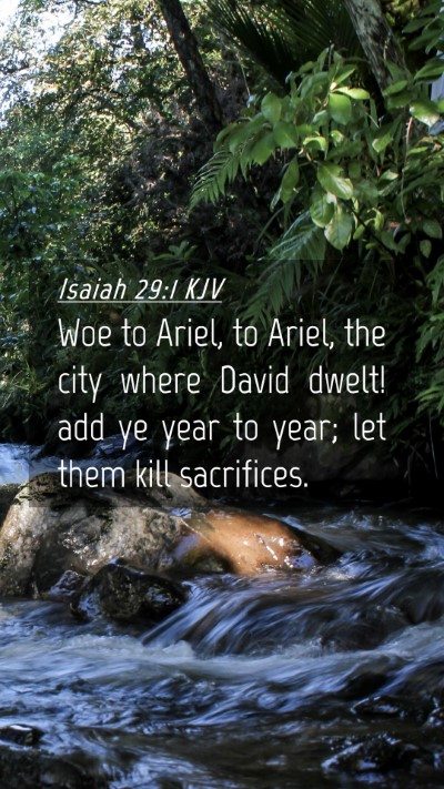 Picture 04 - Isaiah 29:1 KJV Mobile Phone Wallpaper - Woe to Ariel, to Ariel, the city where David - Mobile Bible Verse Wallpaper