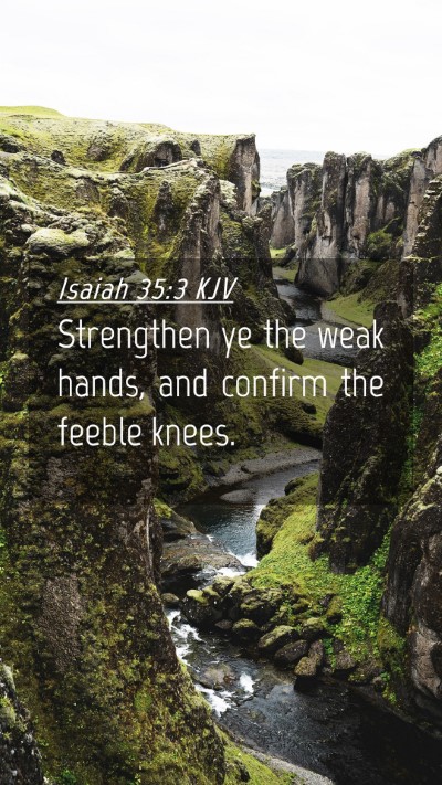 Picture 04 - Isaiah 35:3 KJV Mobile Phone Wallpaper - Strengthen ye the weak hands, and confirm the - Mobile Bible Verse Wallpaper