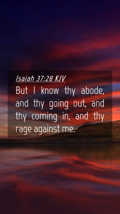 Picture 04 - Isaiah 37:28 KJV Mobile Phone Wallpaper - But I know thy abode, and thy going out, and thy - Mobile Bible Verse Wallpaper