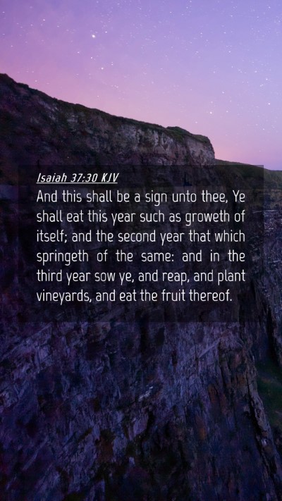 Picture 04 - Isaiah 37:30 KJV Mobile Phone Wallpaper - And this shall be a sign unto thee, Ye shall eat - Mobile Bible Verse Wallpaper