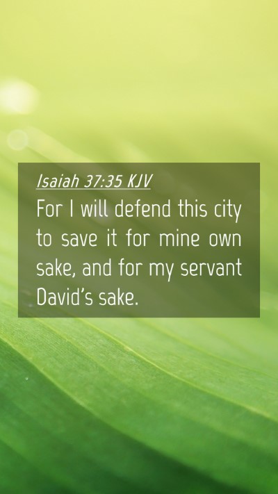 Picture 04 - Isaiah 37:35 KJV Mobile Phone Wallpaper - For I will defend this city to save it for mine - Mobile Bible Verse Wallpaper