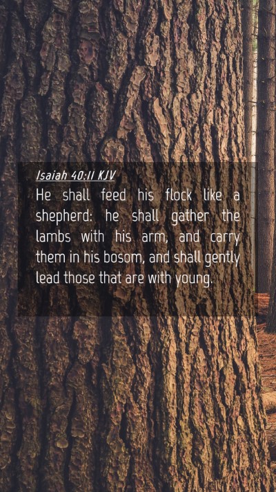 Picture 04 - Isaiah 40:11 KJV Mobile Phone Wallpaper - He shall feed his flock like a shepherd: he shall - Mobile Bible Verse Wallpaper