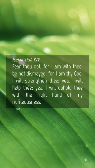 Picture 04 - Isaiah 41:10 KJV Mobile Phone Wallpaper - Fear thou not; for I am with thee: be not - Mobile Bible Verse Wallpaper